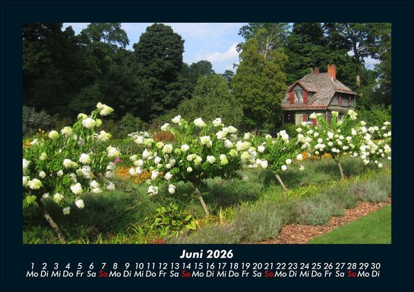 Produktbild: Blumenkalender 2026 Fotokalender DIN A5