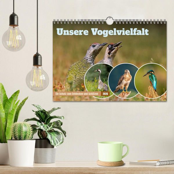 Produktbild: Unsere Vogelvielfalt: Ein Schatz zum Entdecken und Sch&uuml;tzen (Wandkalender 2026 DIN A4 quer), CALVENDO Monatskalender