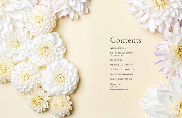 Produktbild: Lane, G: Dahlias
