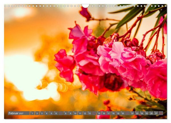 Produktbild: Madeira - Insel der Blumen 2027 (Wandkalender 2027 DIN A3 quer), CALVENDO Monatskalender
