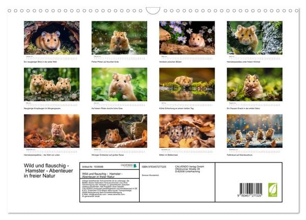 Produktbild: Wild und flauschig - Hamster - Abenteuer in freier Natur (Wandkalender 2026 DIN A3 quer), CALVENDO Monatskalender