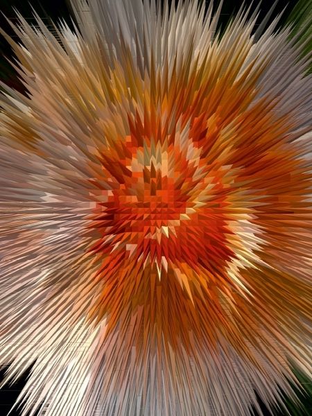 Produktbild: CALVENDO Puzzle Flower Explosion III PHOTO ART&deg; by Rosemarie Hofer | 1000 Teile Lege-Gr&ouml;&szlig;e 64x48cm Foto-Puzzle f&uuml;r gl&uuml;ckliche Stunden