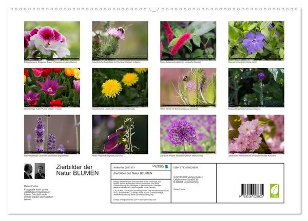 Produktbild: Zierbilder der Natur BLUMEN (hochwertiger Premium Wandkalender 2026 DIN A2 quer), Kunstdruck in Hochglanz