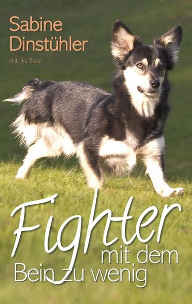 Produktbild: Fighter mit dem Bein zu wenig