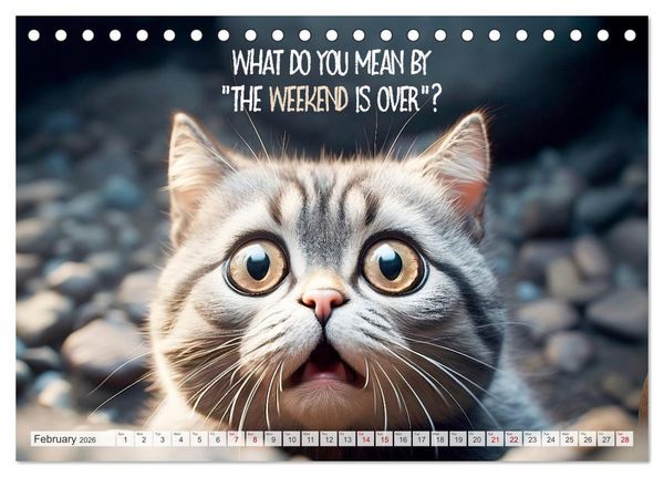 Produktbild: WITTY CATS Cool sayings (Desk Calendar 2026 DIN A5 landscape), CALVENDO 12 Month DeskCalendar