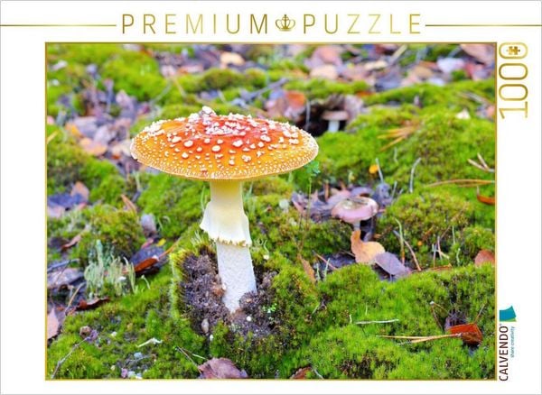CALVENDO Puzzle Fliegenpilz | 1000 Teile Lege-Größe 64x48cm Foto-Puzzle für glückliche Stunden