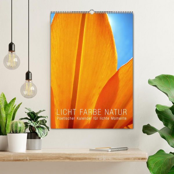 Produktbild: Licht Farbe Natur (Wandkalender 2026 DIN A2 hoch), CALVENDO Monatskalender