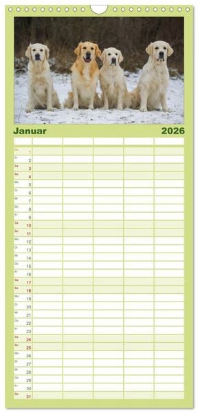 Produktbild: Familienplaner 2026 - Golden Retriever - Ein Herz auf 4 Pfoten mit 5 Spalten (Wandkalender, 21 x 45 cm) CALVENDO