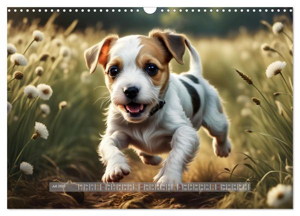 Produktbild: Kuschelige Hunde - kleine Herzensbrecher in Aktion (Wandkalender 2026 DIN A3 quer), CALVENDO Monatskalender