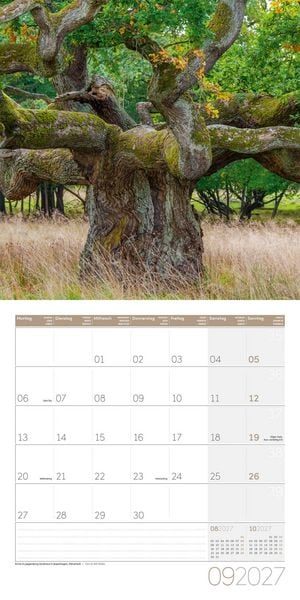 Produktbild: B&auml;ume Kalender 2027 - 30x30 - Art12