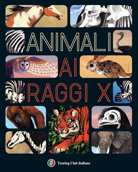 Produktbild: Animali ai raggi X