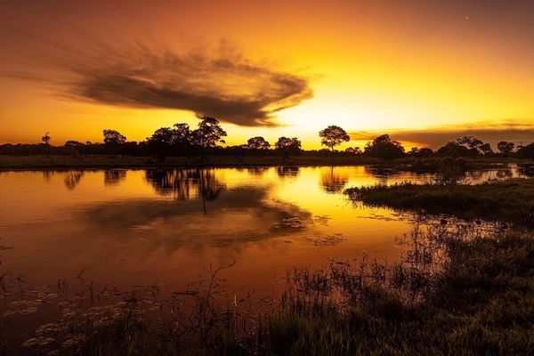 Produktbild: Pantanal