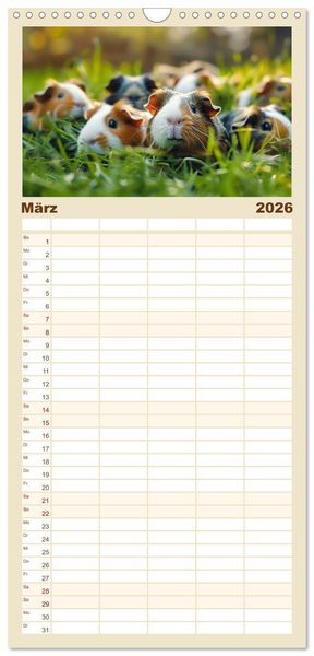 Produktbild: Familienplaner 2026 - Wuschelbande - Ein Jahr voller Meerschweinchen mit 5 Spalten (Wandkalender, 21 x 45 cm) CALVENDO