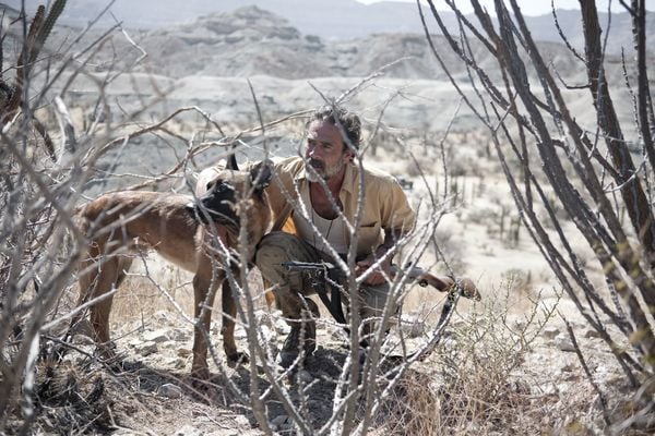 Produktbild: Desierto - T&ouml;dliche Hetzjagd
