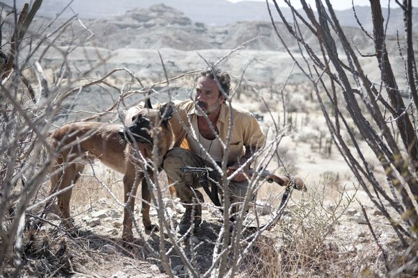 Produktbild: Desierto - T&ouml;dliche Hetzjagd