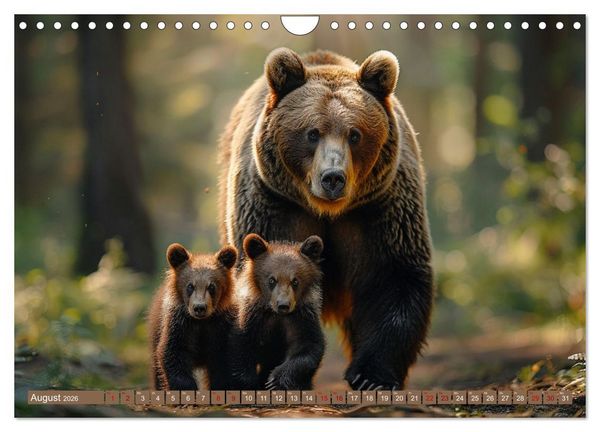 Produktbild: Wildes B&auml;renland (Wandkalender 2026 DIN A4 quer), CALVENDO Monatskalender