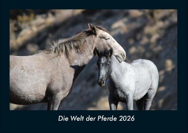 Produktbild: Die Welt der Pferde 2026 Fotokalender DIN A4
