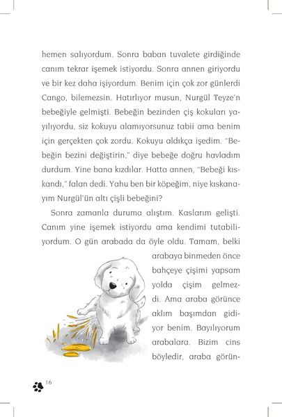 Produktbild: Cingo