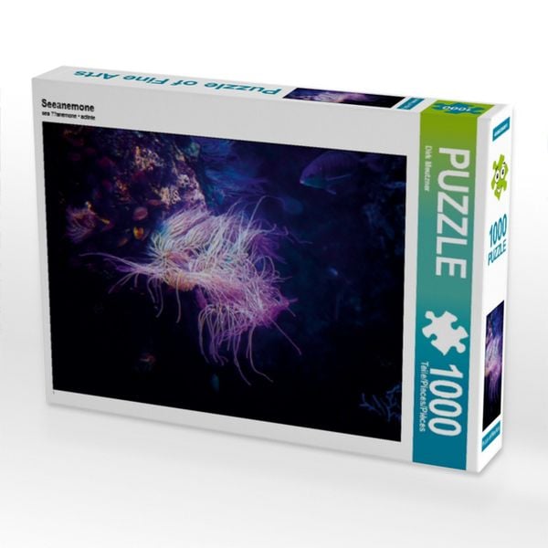 CALVENDO Puzzle Seeanemone | 1000 Teile Lege-Größe 64x48cm Foto-Puzzle für glückliche Stunden