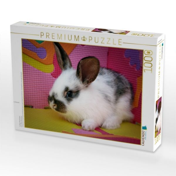 Produktbild: CALVENDO Puzzle Lustiges Kaninchen | 1000 Teile Lege-Gr&ouml;&szlig;e 64x48cm Foto-Puzzle f&uuml;r gl&uuml;ckliche Stunden