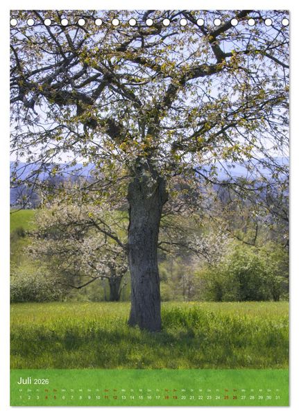 Produktbild: Klimaretter Baum (Tischkalender 2026 DIN A5 hoch), CALVENDO Monatskalender