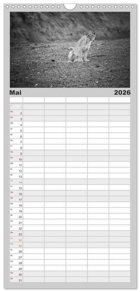 Produktbild: Familienplaner 2026 - L&ouml;wen schwarz wei&szlig; mit 5 Spalten (Wandkalender, 21 x 45 cm) CALVENDO