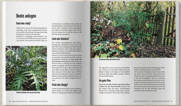 51+ Mdr Garten Heiß Auf Gemüse, Hier möchte ich all meine