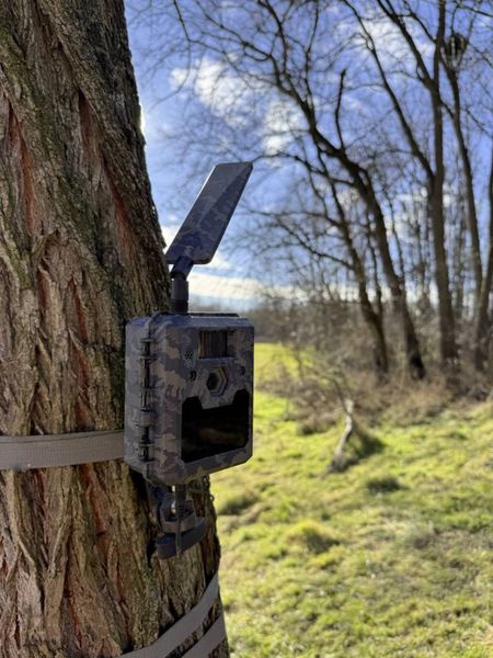 Produktbild: ICU CLOM Cam6 Wildkamera Camouflage