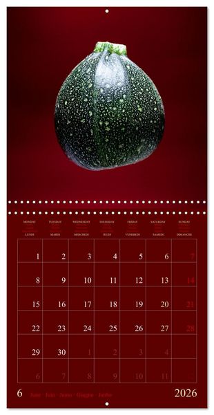 Produktbild: Les l&eacute;gumes hauts en couleur (Calendrier mural carr&eacute; 2026 30x30 cm) Calendrier double avec une page pour vos prises de notes