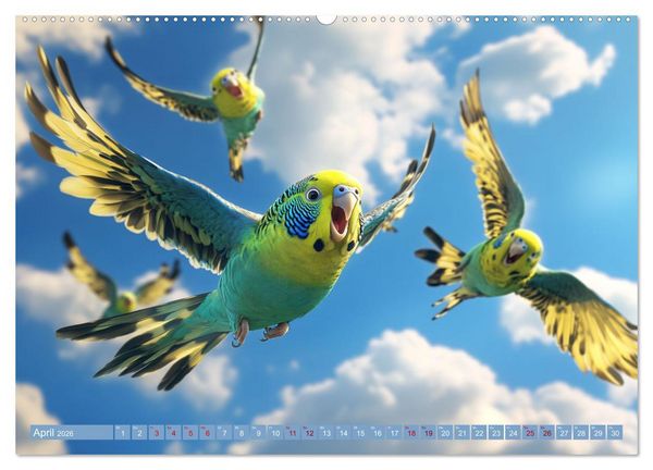 Produktbild: Im Wellensittich Wunderland (Wandkalender 2026 DIN A2 quer), CALVENDO Monatskalender