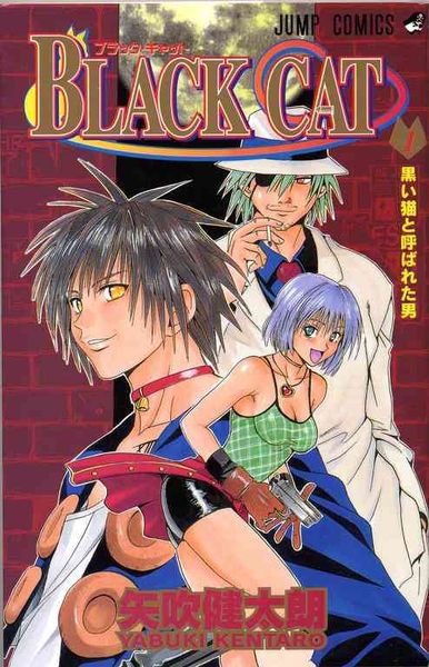 Produktbild: Yabuki, K: Black Cat