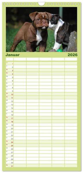 Produktbild: Familienplaner 2026 - Bulldoggen-Kinder mit 5 Spalten (Wandkalender, 21 x 45 cm) CALVENDO