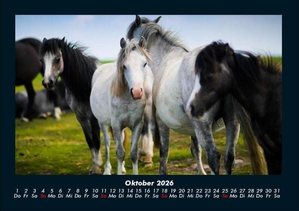 Produktbild: Die Welt der Pferde 2026 Fotokalender DIN A4