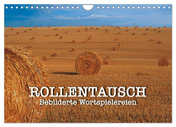 Produktbild: Rollentausch &ndash; Bebilderte Wortspielereien (Wandkalender 2026 DIN A4 quer), CALVENDO Monatskalender