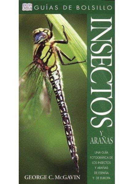 Produktbild: Insectos y ara&ntilde;as : gu&iacute;as de bolsillo