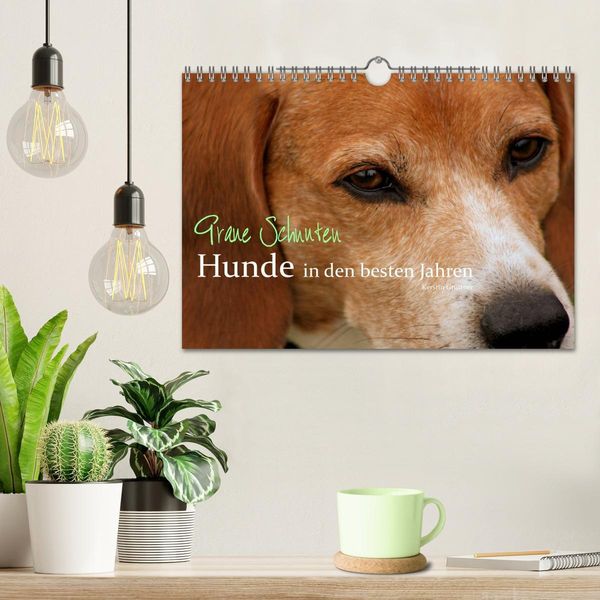 Produktbild: Graue Schnuten - Hunde in den besten Jahren (Wandkalender 2026 DIN A4 quer), CALVENDO Monatskalender