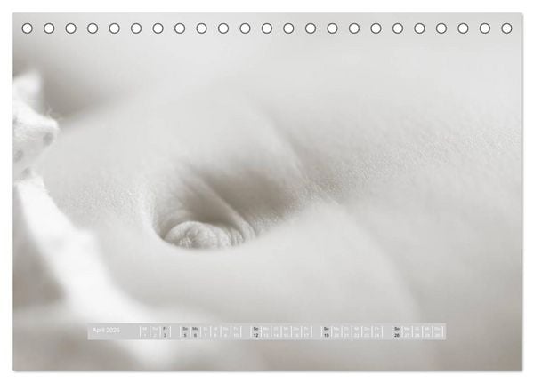Produktbild: ...so winzig - Babykalender (Tischkalender 2026 DIN A5 quer), CALVENDO Monatskalender
