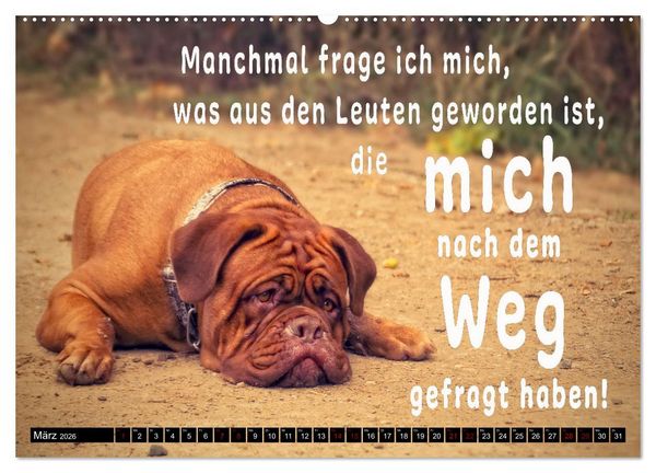 Produktbild: Spruchreif - Gute-Laune-Kalender (hochwertiger Premium Wandkalender 2026 DIN A2 quer), Kunstdruck in Hochglanz