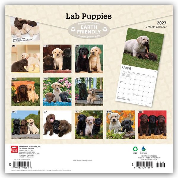 Produktbild: Labrador Retriever Puppies &ndash; Labrador Retriever Welpen 2027 &ndash; 16-Monatskalender