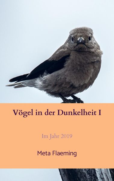 Produktbild: V&ouml;gel in der Dunkelheit I