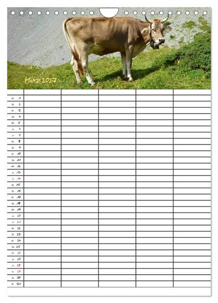 Produktbild: Bauernhoftiere Familienplaner (Wandkalender 2027 DIN A4 hoch), CALVENDO Monatskalender