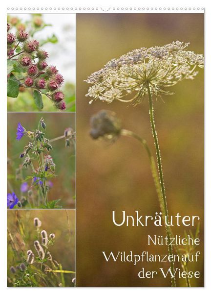 Produktbild: Unkr&auml;uter - N&uuml;tzliche Wildpflanzen auf der Wiese (Wandkalender 2026 DIN A2 hoch), CALVENDO Monatskalender