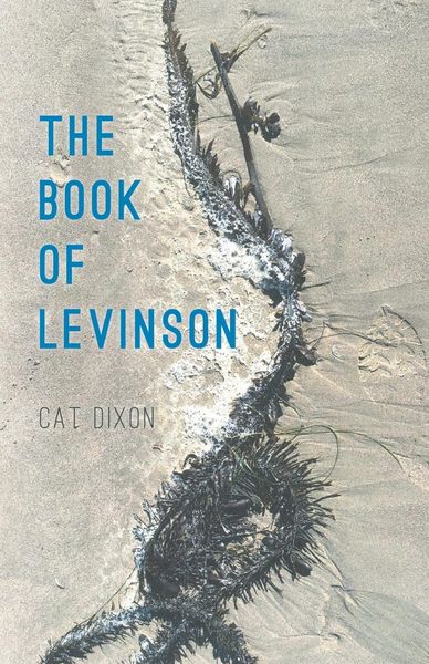 Produktbild: The Book of Levinson