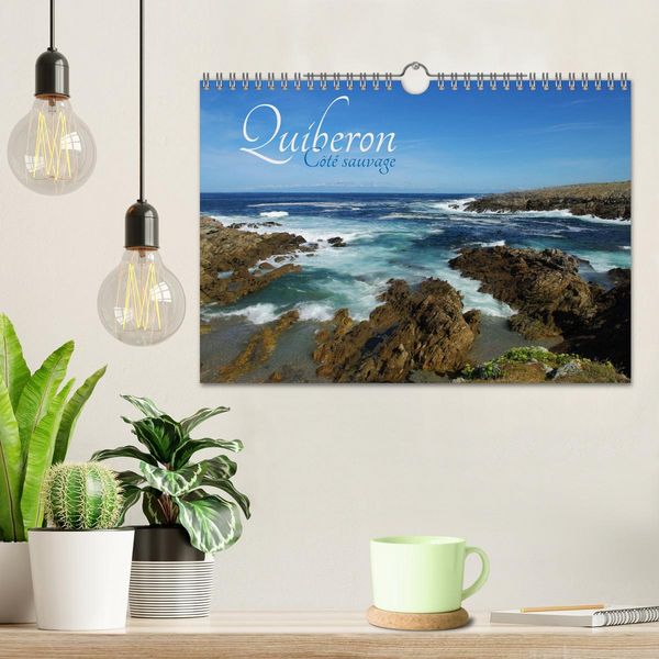 Produktbild: Quiberon C&ocirc;t&eacute; sauvage (Calendrier mural 2026 DIN A4 vertical), CALVENDO calendrier mensuel