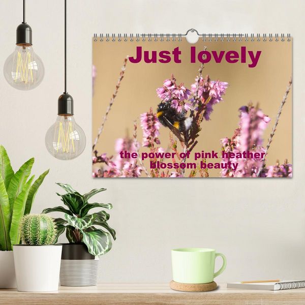 Produktbild: Just lovely - the power of pink heather blossom beauty (Wall Calendar 2026 DIN A4 landscape), CALVENDO 12 Month Wall Calendar