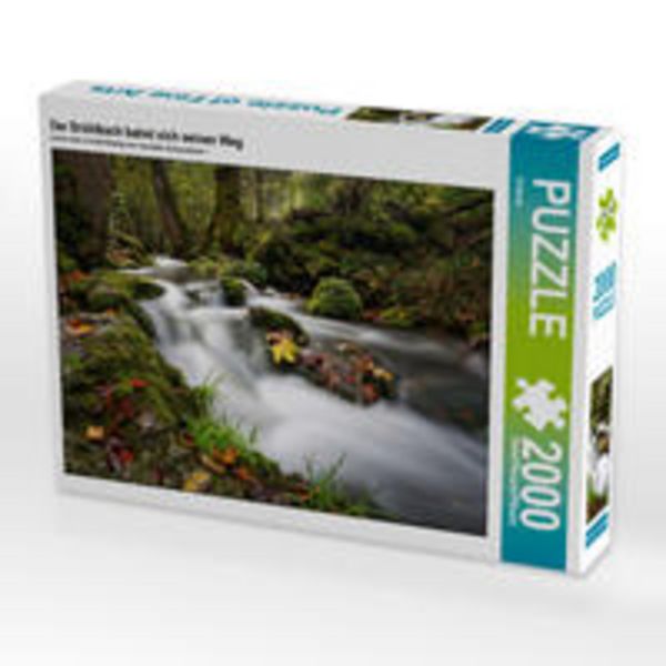 CALVENDO Puzzle Der Brühlbach bahnt sich seinen Weg | 2000 Teile Lege-Größe 90 × 67 cm Foto-Puzzle für glückliche Stunden
