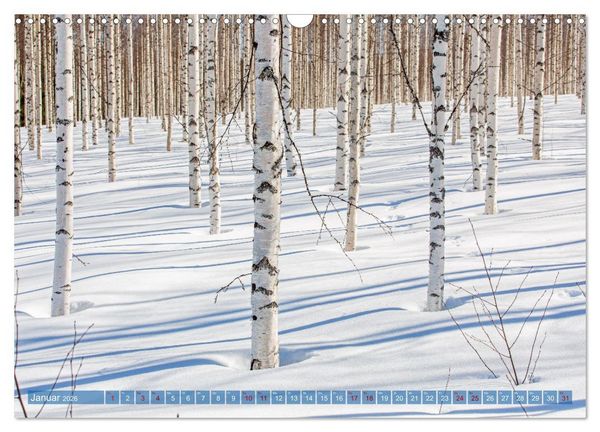 Produktbild: Wildes Finnland (Wandkalender 2026 DIN A3 quer), CALVENDO Monatskalender