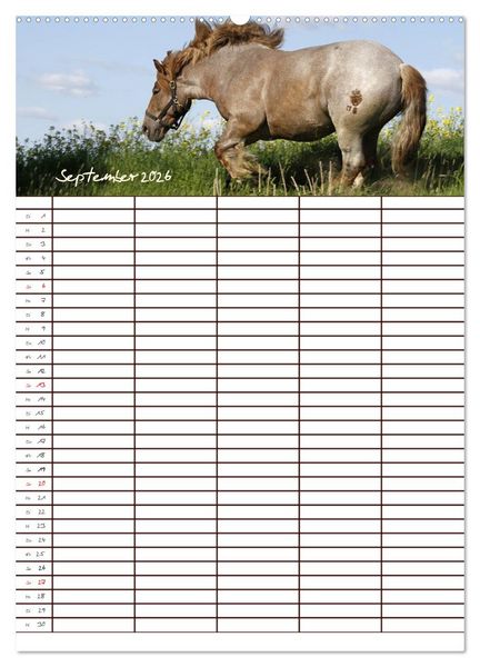 Produktbild: Der Kaltblut-Familienplaner (Wandkalender 2026 DIN A2 hoch), CALVENDO Monatskalender
