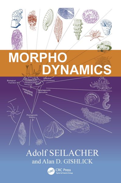 Produktbild: Morphodynamics