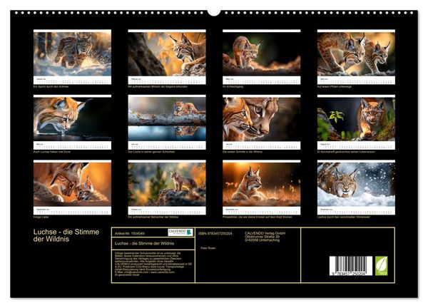 Produktbild: Luchse - die Stimme der Wildnis (hochwertiger Premium Wandkalender 2026 DIN A2 quer), Kunstdruck in Hochglanz